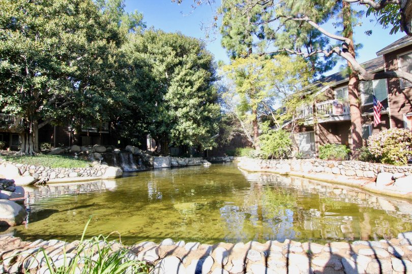 THE HOME IN THE LAKE GROVE WITH THE LAKE, STONES, PLANTS, TREES, FLAG