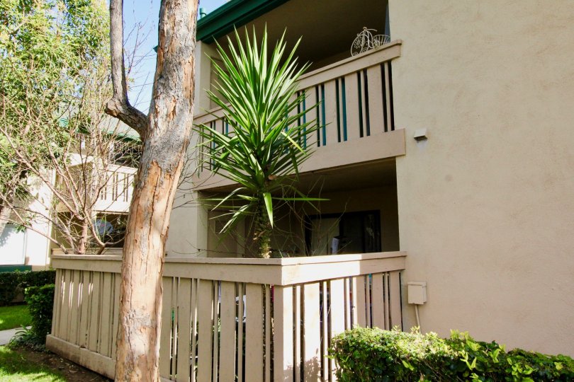 THE FLAT IN THE PARK GLENWOOD WITH THE BALCONI, PLANTS, TREES