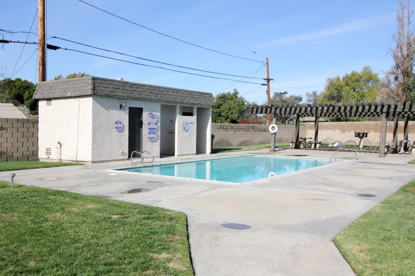 THE FLAT IN THE WILLOW TRAIL WITH THE SWIMMING POOL, GRASSLAND, TREES
