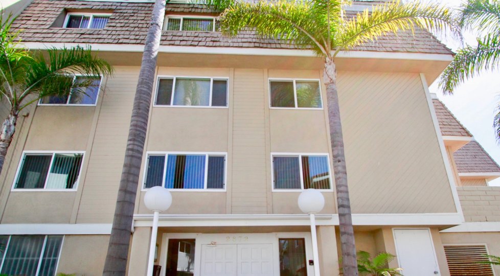 Tall palms along the streets of the Bayport Community