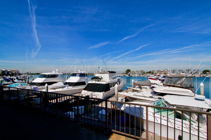 A sunny day in the Bayport with lots of ships, boats and also with beautiful atmosphere.