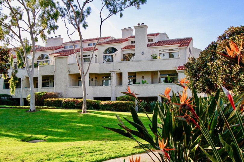 Nice Colourful view of Villas with green lawn and trees besides in Cabo Del Mar of Huntington Beach