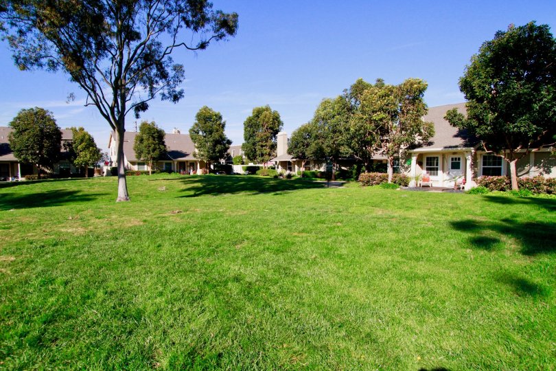 A sunny day in the Gables with lawn and homes with playground and also with lots of trees.