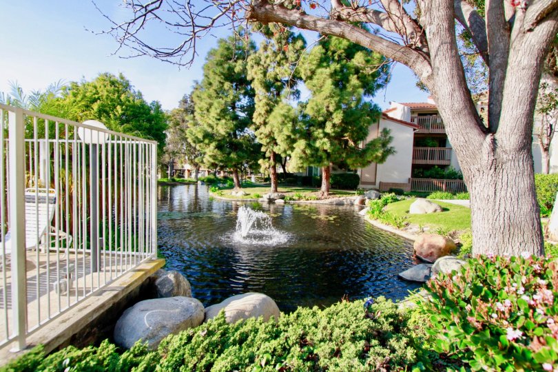 Beautiful Fountain place with small pond with trees near villas in Harbour Vista of Huntington Beach