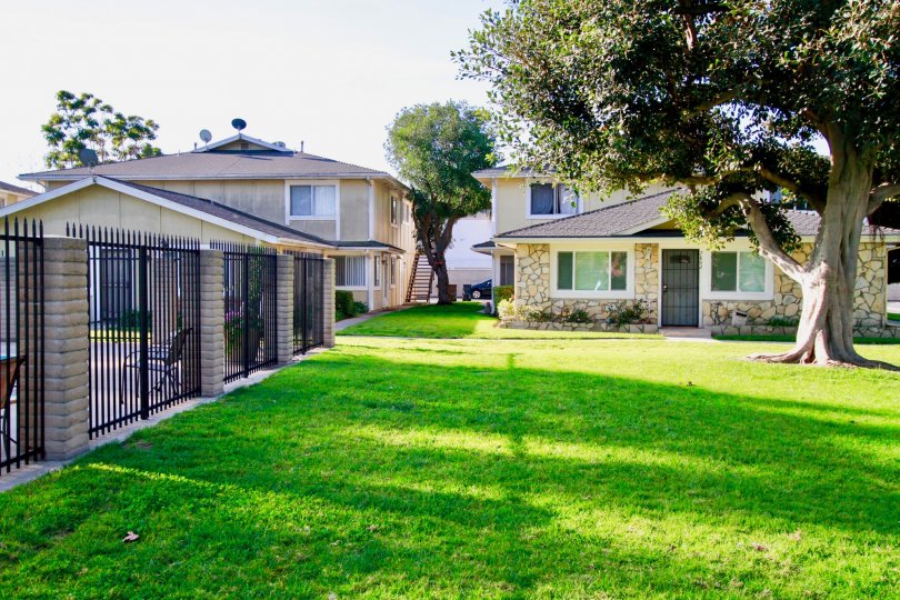 Fabulous greenish view of a lawn in front of villa with trees in Huntington Gardens of Huntington Beach