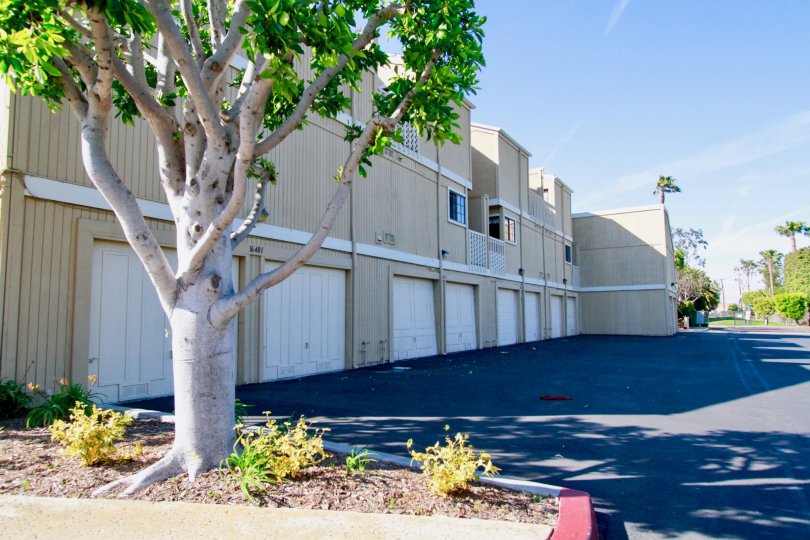 THE BUILDING LOOKS LIKE LONG AND SOME TREES AND PLANTS ALSO NEAR TO THE BUILDING AND A ROAD ALSO IN FRONT OF THE PLACE