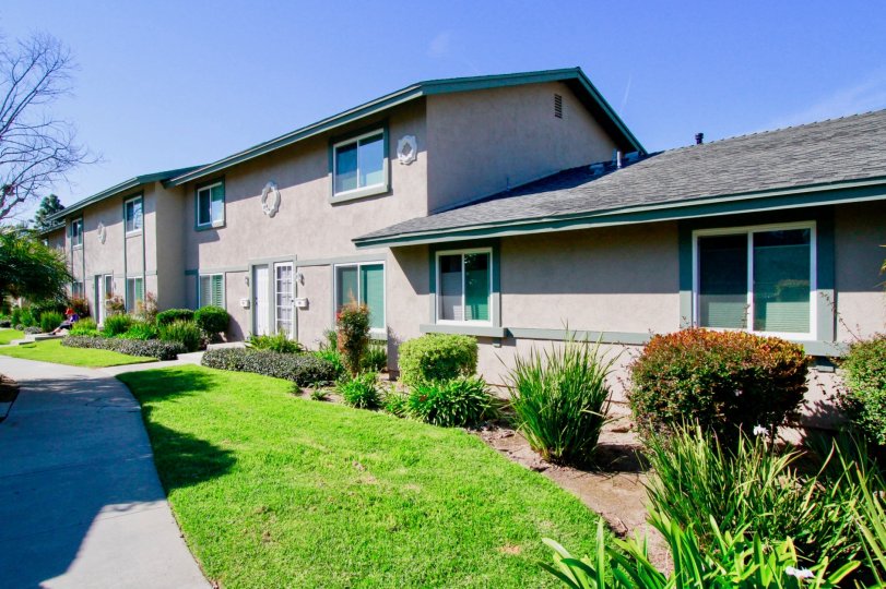 Great grass surronds in Huntington Townhomes, located in Huntington Beach, nice places in California
