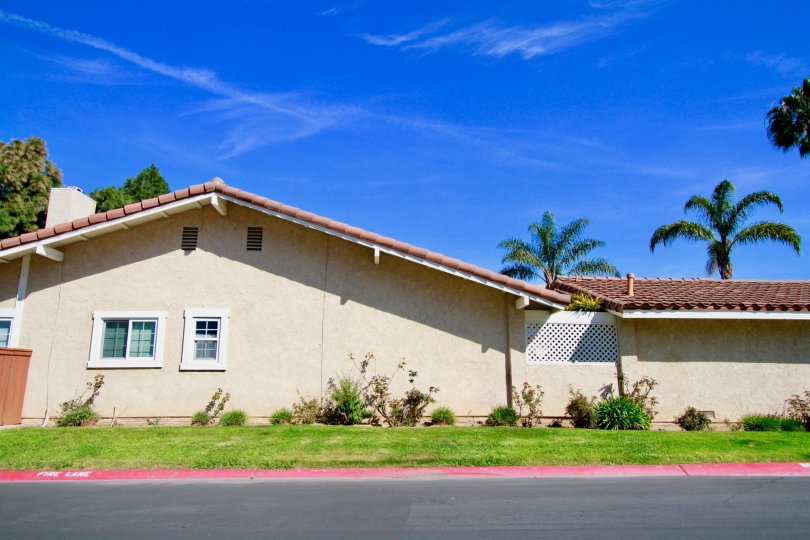 Huntington Viewpoint home with palm trees and bushes on a sunny day.