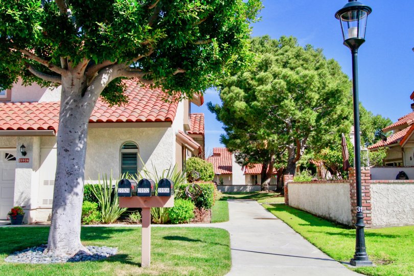 La Cuesta By the Sea California huge trees dominating the build structure and beauty of nature