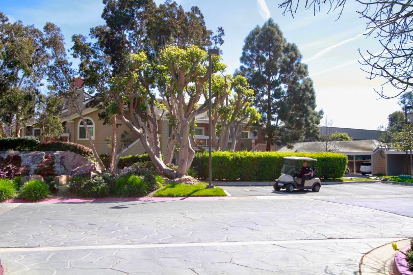 Pacific Ranch Townhomes street with a golf cart and trees on a sunny day.
