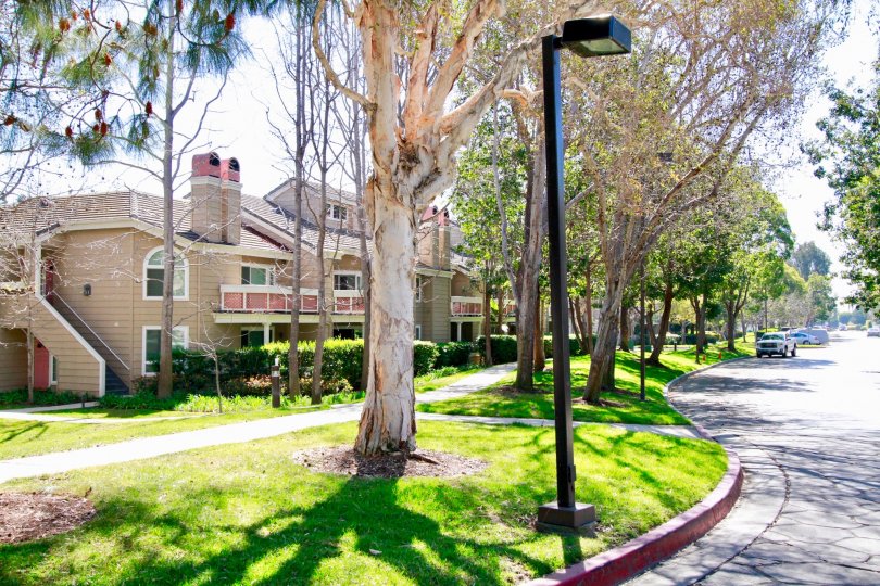 THE BUNGALOW WITH SMALL GARDENS IN FRONT OF THE PLACE AND A ROAD ALSO AVAILABLE CAR CAN MOVING ON THE ROAD A NIGHT LAMP ALSO NEAR TO THE ROAD.