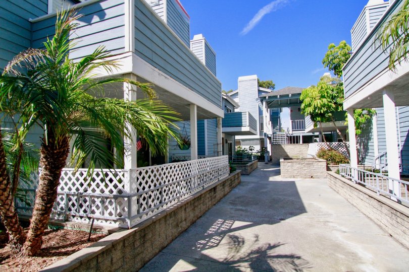 A sunny day in the Pelican Cove with clean street and trees, plants.