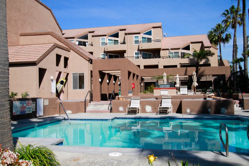 Pierhouse pool with deck chairs and palm trees on a sunny day.