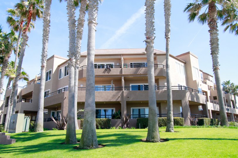 Apartments overlooking a nice grass landscaping with palm trees on a sunny day.