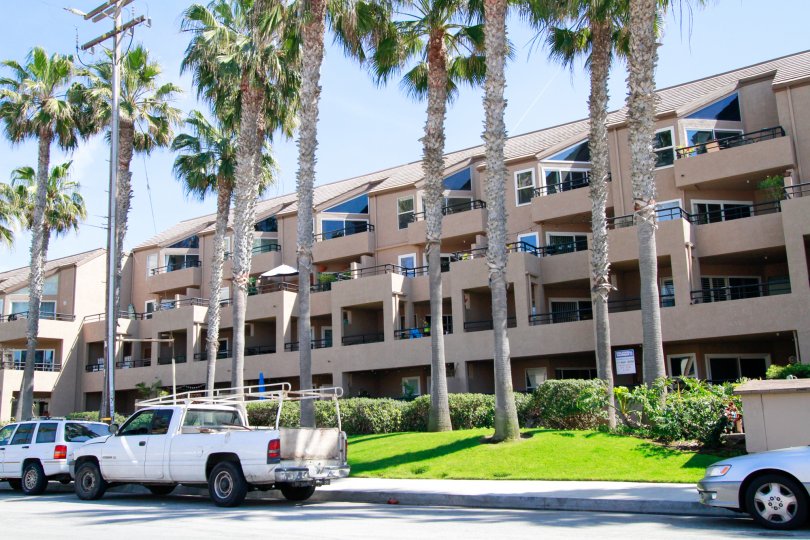 Pierhouse building with a row of palm trees and bushes in front.