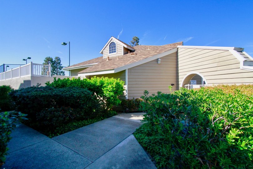 Pointe Surfside sidewalk with bushes on either side on a sunny day.