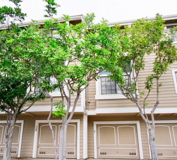 Seabridge Townhomes beige building with trees on a cloudy day.