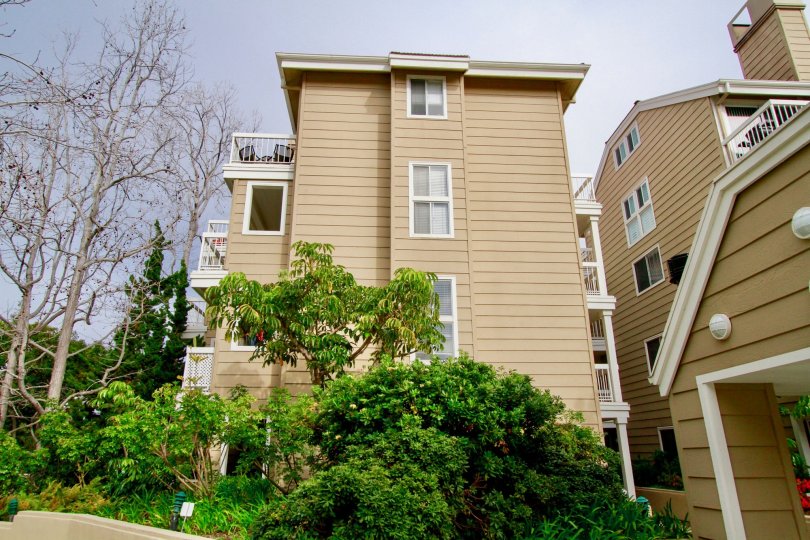 Seabridge Villas buildings with bushes and trees on a sunny day.