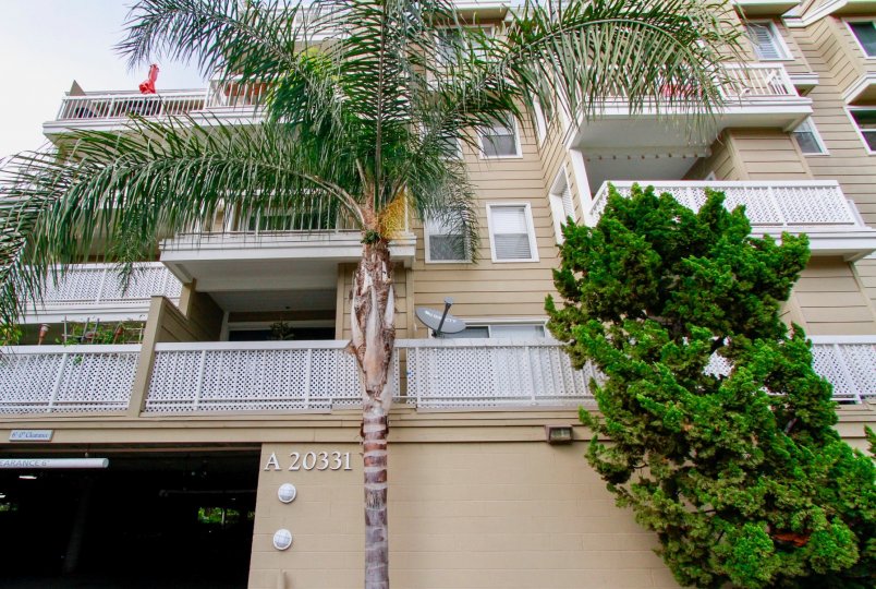 A very big apartment with number A20331 in the Seabridge Villas with palm tree and big ornamental tree.