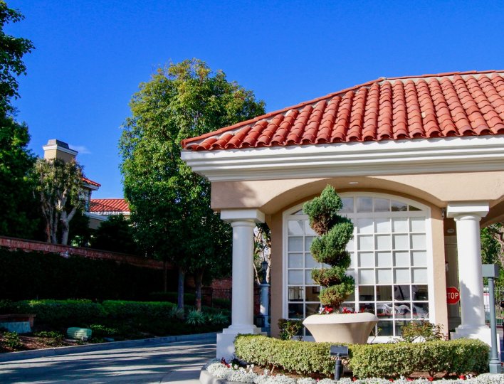 A large white potted plant spirals upward in front of a large window at Seacliff on the Greens in Huntington Beach CA