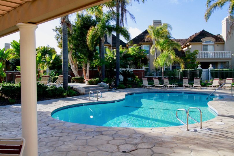 Seacliff on the Greens pool with deck chairs and trees on a sunny day.