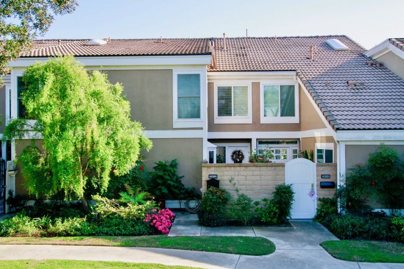 A sunny day in the Seagate with garden and oldage look homes.