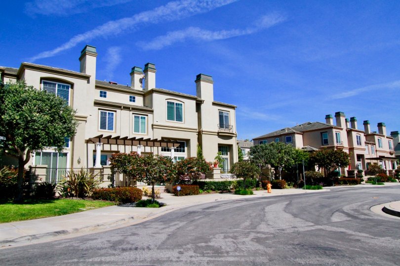 A huge building in the Surfcrest with clean street road and trees and also with plants.