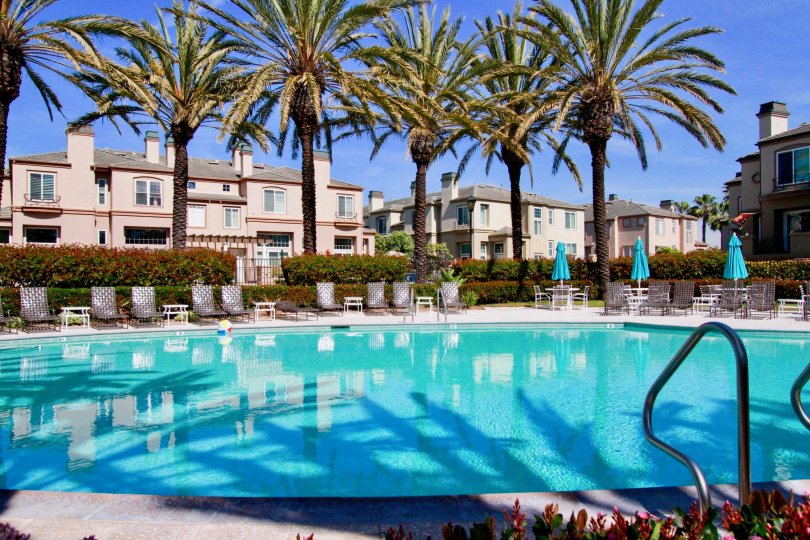 A sunny day in the Surfcrest with swimminpool, chair, trees and look like resort.