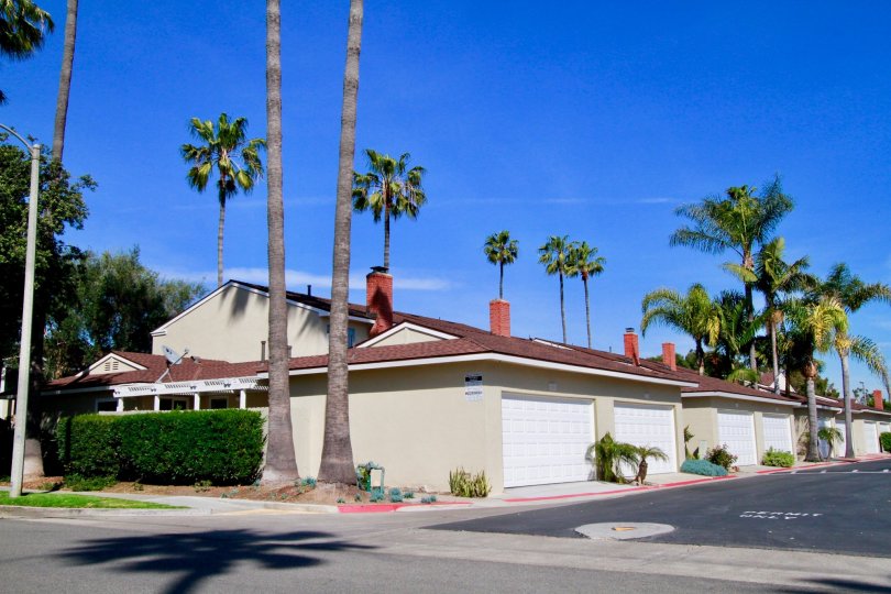 Surfside homes with a street and palm trees on a sunny day.