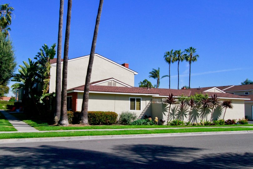 A SMALL SIZE HOUSE WITH CUTE ROOF TOP AND A ROAD NEAR TO THE HOUSE SOME TREES ALSO AVAILABLE AT THEPLACE