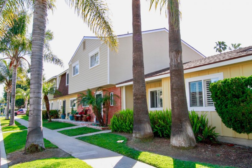 A HOUSE WITH BEAUTIFUL GRASS IN FRONT OF THE PLACE AND MORE TREES ALSO AVAILABLE THE HOUSE ALSO DESIGN WITH MILD COLOUR.