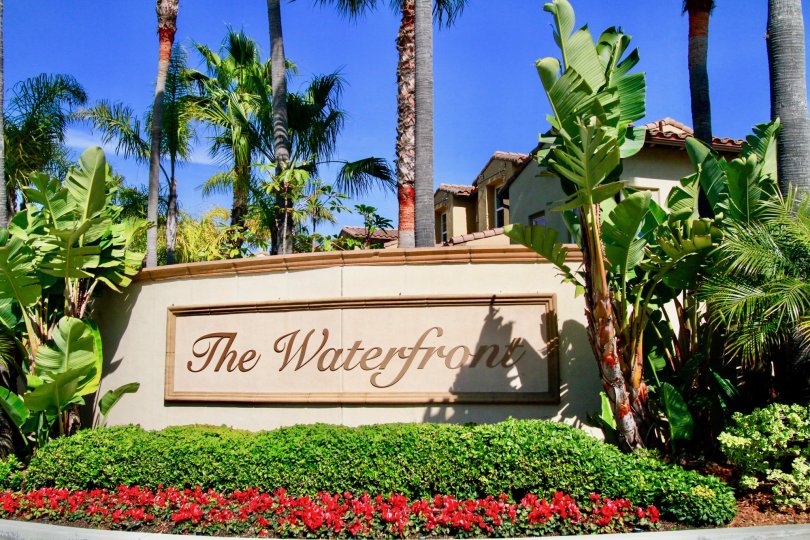 Sign for The Waterfront with palm trees and flowers on a sunny day.