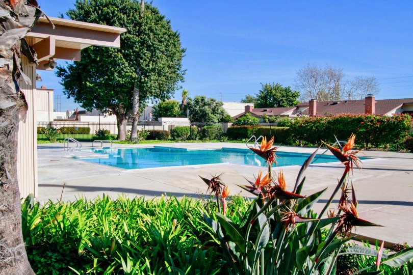 Warm day at the pool in the Villa Pacific community in Huntington Beach, California.