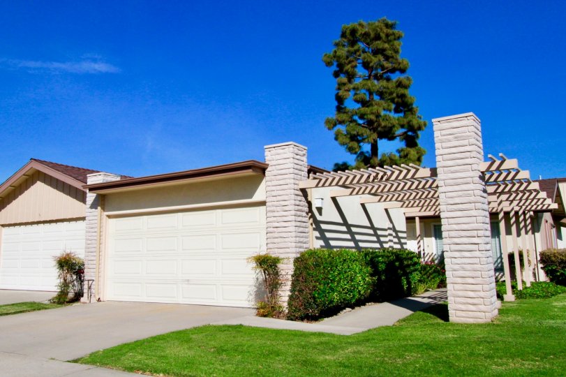 in california all are love to have plants in there house. in this pivture also there are lot of plats are there