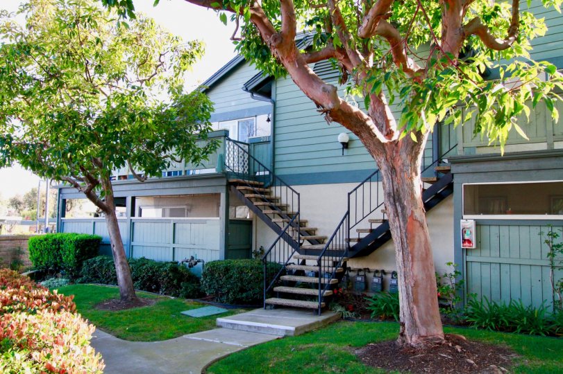 Windward Cove Huntington Beach California building color light green steps attached in front place groun floor some place white paint