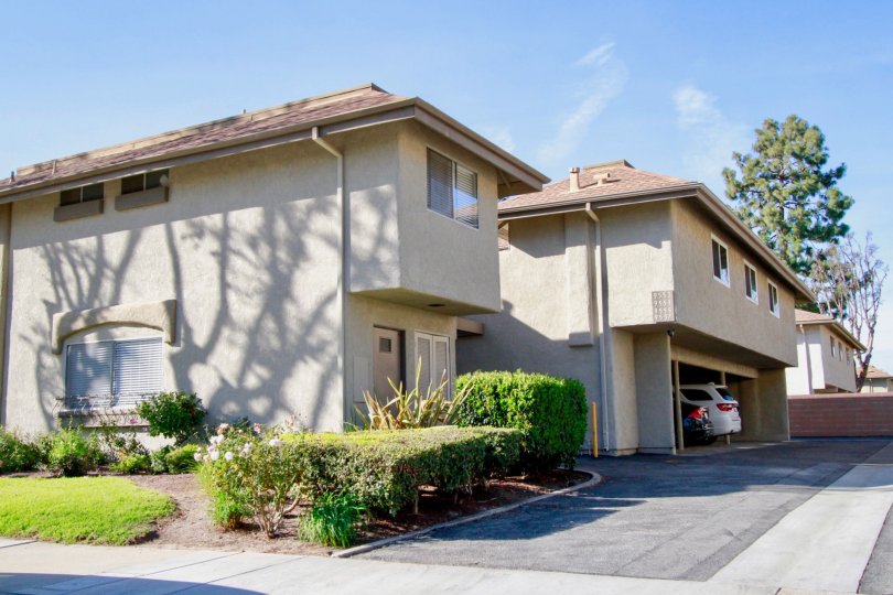 The homes in the Yorktown Villas with trees, plants, cars and also with carparking.