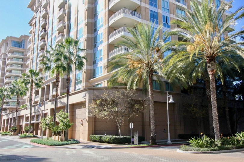 3000 The Plaza Apartment has many number of Floors with street lamps and treers