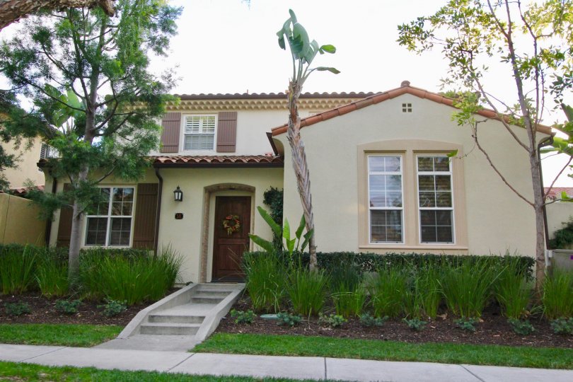 THE HOUSE IN THE ARBOREL WITH THE UPSTAIRS, PLANTS, TREES
