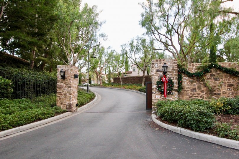 THIS IS THE ENTRANCE WAY NEARBY PLANTS AND TREES ARE THERE IN ARBOREL COMMUNITY