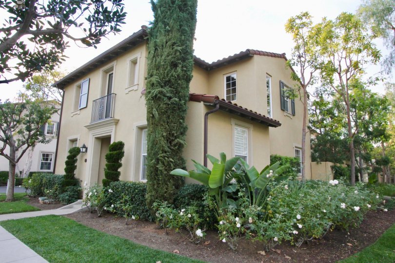 THE ESTATE IN THE ARBOREL WITH THE FLOWER PLANTS, TREES