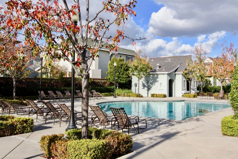 pool in front of an villa with chairs around and green ambient