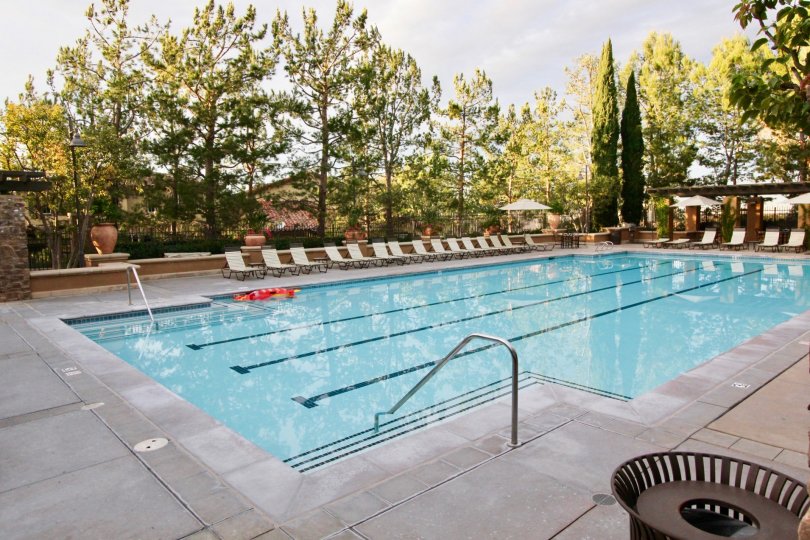 THE FLAT IN THE ASHTON GREEN WITH THE SWIMMING POOL, DUSTBIN