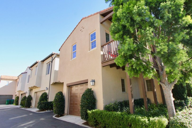 THE APARTMENT UNDER THE SHED, NEARBY PLANTS, TREES ARE LOCATED IN THE CITY OF IRVINE