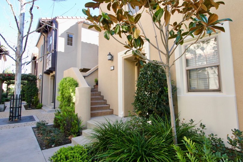 THE HOUSE IN THE BOWEN COURT WITH THE UPSTAIRS, PLANTS, TREES