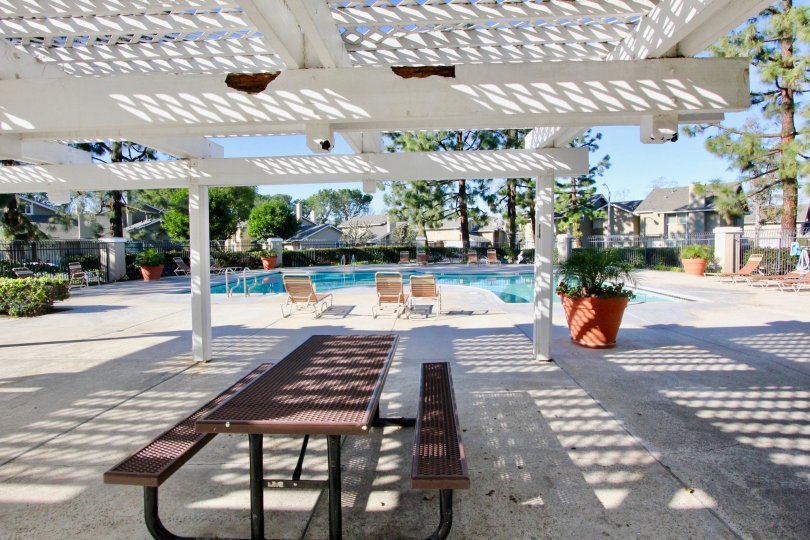 sports park, library, kids playground, lake with fountain, wild animals like geese, birds and the like