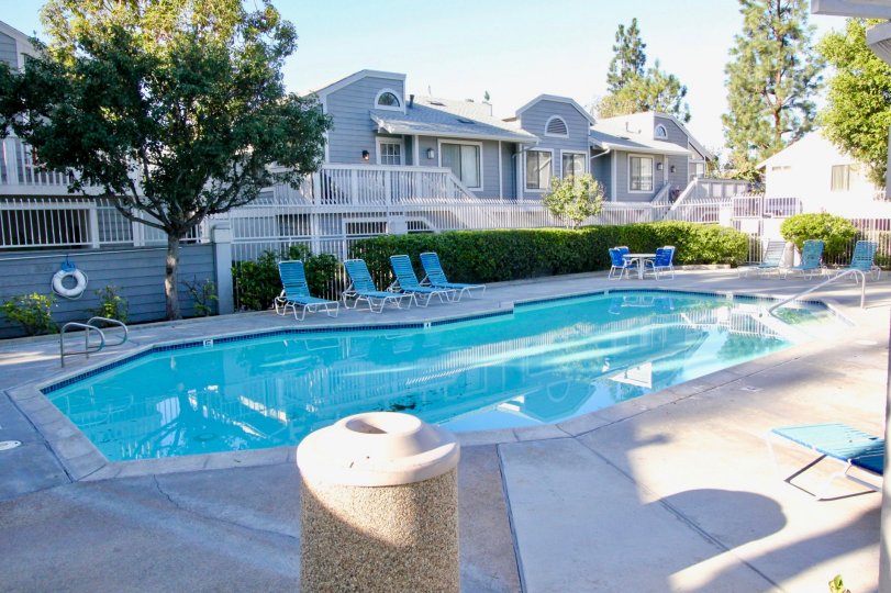 Nice view of swimming pool and trees near villas with sitout of Horizon in Irvine