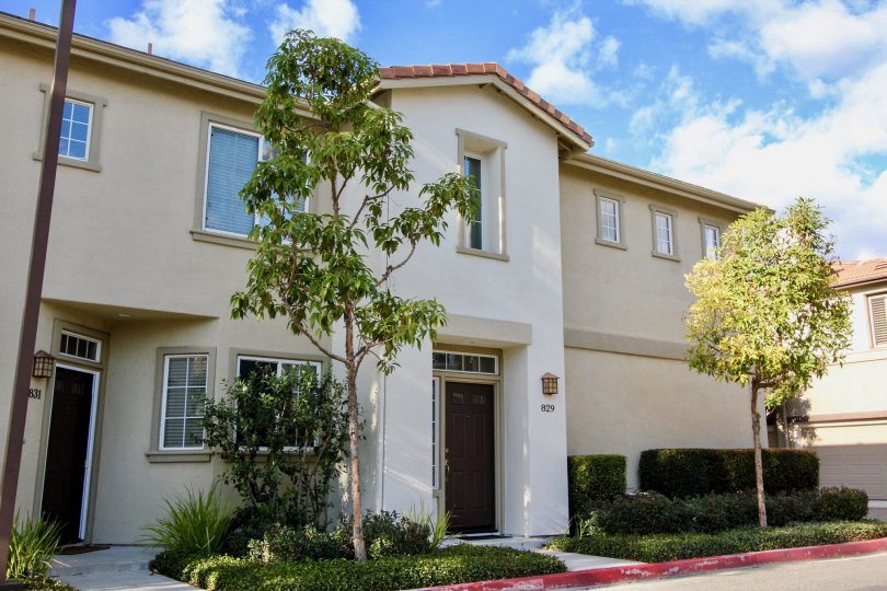 There are two villas in Northwood Pointe has number with lamp side to the door