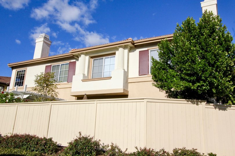 Inside to the Compound wall of Villa in Northwood Pointe has plants with flowers and trees