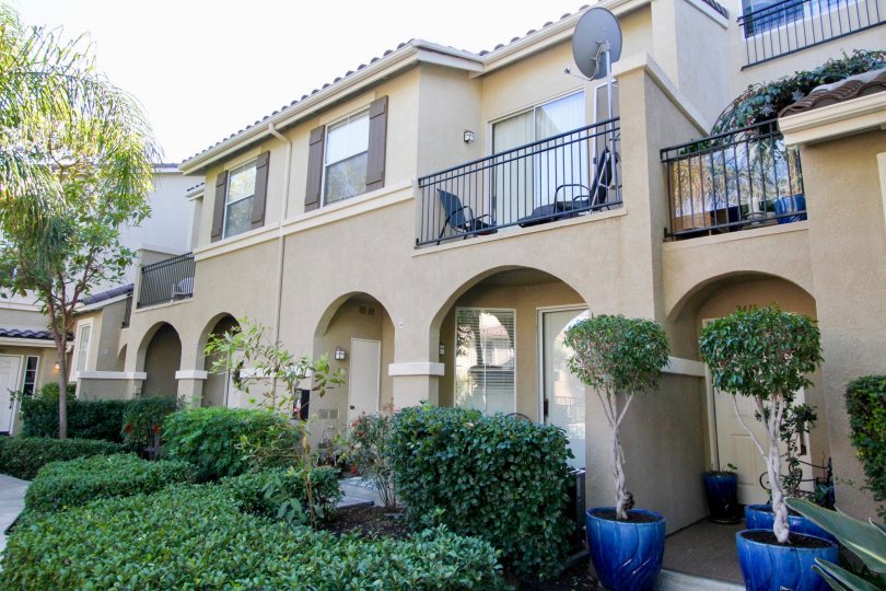 A synny day in Oak Park with houses with pale orange plaster, surrounded by hedges, trees and potted plants.