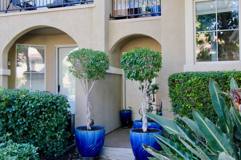 A house with large windows, hedges and potted plants in Oak Park.